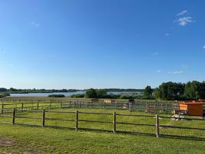 un grupo de caballos en un campo junto a una valla en Wellness zoo apartmány Lhota, en Lomnice nad Lužnicí