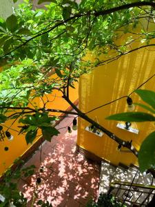 un primer plano de una pared amarilla con un árbol en Chủ Nhật Homestay&Cafe - cơ sở 3 - 19 ngõ 194 Quán Thánh en Hanói