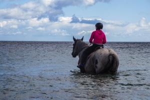a young girl riding a horse in the water at Staberhuk Baben - großer sonniger Balkon - XL Wohnung in Staberdorf