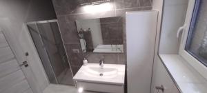 ein Bad mit einem Waschbecken, einer Dusche und einem Spiegel in der Unterkunft Pension Marko in Liptovský Mikuláš