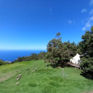 a tent on a hill with the ocean in the background at Arambha Ecovillage Permaculture Farm in Tábua