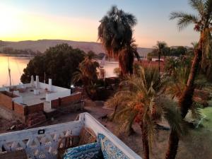 een uitzicht vanaf het dak van een huis met palmbomen bij Seko Kato Nile View Hostel in Aswan