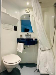 a bathroom with a toilet and a sink at Hôtel Gex in Gex