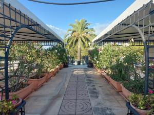 a greenhouse with potted plants and a walkway at LA VILLA DEL CONTE in Barletta