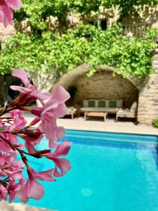 - une piscine bleue bordée de fleurs violettes dans l'établissement Holiday home L'Autre Maison, à Saint-Jean-de-Ceyrargues