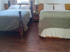 two beds sitting next to each other in a bedroom at Dolphin Motel in Tofino