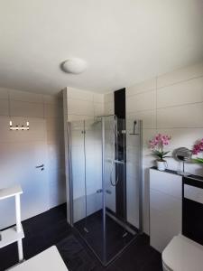 uma casa de banho com uma cabina de duche em vidro e um lavatório. em Ferienwohnung am Dock em Apen
