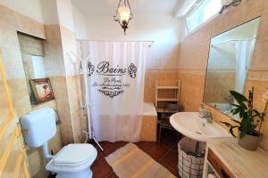a bathroom with a shower curtain and a toilet and sink at Comfortable stone house apartment 4 persons Poreč, 4km in Musalez