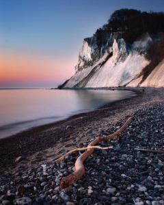 a branch on a rocky beach next to the water at Det Gamle Garnbinderi, ved Møns bedste strand. in Borre