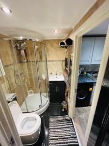 a bathroom with a shower and a toilet and a sink at Exclusive Private One Bedroom Suite in London