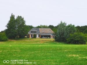 a house in a field with a green field at The nicest farmhouse in Holland! in Epse