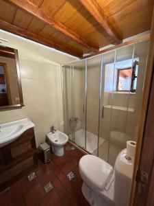 y baño con ducha, aseo y lavamanos. en Casa Rural Los Barros, en Genovés