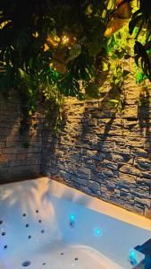 jacuzzi frente a una pared de ladrillo en Jungle room Cannes, en Cannes