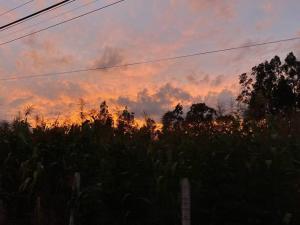 einen Sonnenuntergang mit Bäumen und Wolken am Himmel in der Unterkunft The Hideout- A Cabin in Nature; 25 min from Cuenca in Cuenca