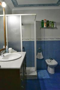 a bathroom with a sink and a shower and a toilet at Puerta la Villa in Avilés