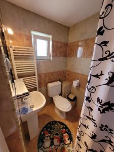 a small bathroom with a toilet and a sink at Vila Denisa in Bran