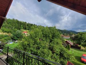 a view from the balcony of a house with a tree at Vila Denisa in Bran