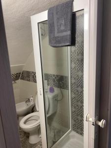 W łazience znajduje się toaleta i przeszklony prysznic. w obiekcie La Piccola Grotta Ursino w Katanii