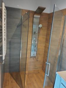 prysznic ze szklanymi drzwiami w łazience w obiekcie Dębowy Apartamenty/Pokoje w mieście Dębno