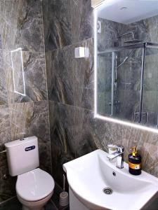 La salle de bains est pourvue de toilettes, d'un lavabo et d'un miroir. dans l'établissement Stan Na Dan / Stan Na Izdavanje, à Paraćin