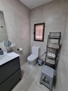 ein Badezimmer mit einem WC und einer Leiter für Handtücher in der Unterkunft AT SAN PEDRO 2 in Olivenza