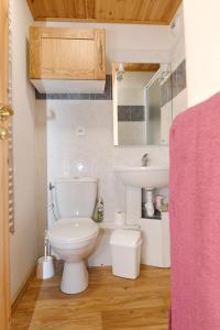 a bathroom with a white toilet and a sink at Chalet C4 Les Marmottes in Valmeinier