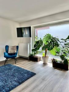 una sala de estar con macetas y una silla azul en Großes City-Ferienhaus mit Terrasse, Grill und Parkplatz F19, en Oldenburg