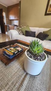 a living room with a coffee table with a potted plant at @LloydsII in Ermelo