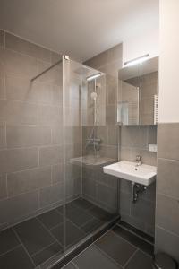 a bathroom with a sink and a shower at Zentrale Wohnung mit 3 Schlafzimmer für bis zu 9 Personen in Hamburg