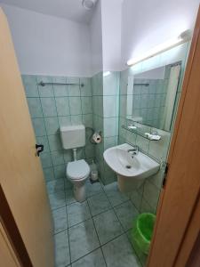 a bathroom with a toilet and a sink at Randunica in Văliug