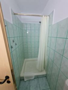 a bathroom with a shower with a shower curtain at Randunica in Văliug
