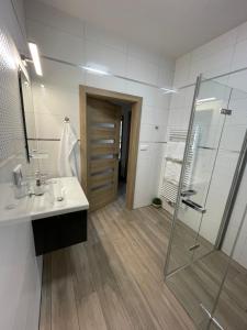 uma casa de banho com um lavatório e uma cabina de duche em vidro. em Apartmány Lipka em Vimperk