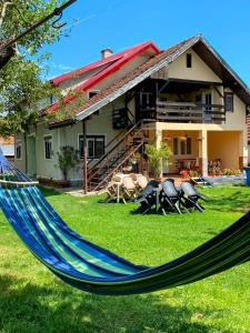 科希夏拉的住宿－Casa Popa，房子前面的蓝色吊床