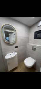 a bathroom with a white toilet and a mirror at Monaco in Chişinău