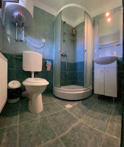 a bathroom with a toilet and a shower and a sink at Casa Popa in Cîrţişoara