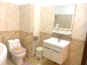 uma casa de banho com um WC, um lavatório e um espelho. em Hôtel Sky blue Mada em Alasora