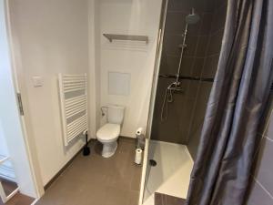 y baño pequeño con aseo y ducha. en # Le 3 # Joli appartement T3 Mulhouse centre, Neuf, calme et tout équipé en Mulhouse