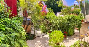 einen Garten mit vielen Pflanzen und Blumen in der Unterkunft LE JARDIN DU VENDOME in Tours