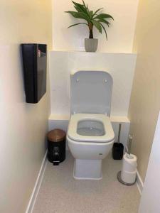 a bathroom with a toilet with a potted plant at Two bed flat stylishly furnished in Purfleet