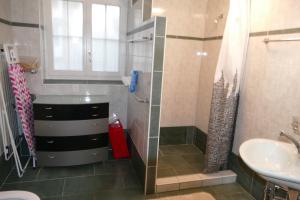 a bathroom with a shower and a sink at Family Landhaus Birwinken in Berg