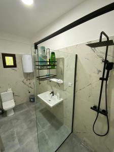 La salle de bains est pourvue d'un lavabo, d'une douche et de toilettes. dans l'établissement Olive apartment, à Podgorica