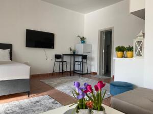 Gallery image of Olive apartment in Podgorica +18 photos