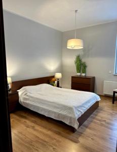 Un dormitorio con una cama grande y una maceta en Apartament przy Rynku en Poznan