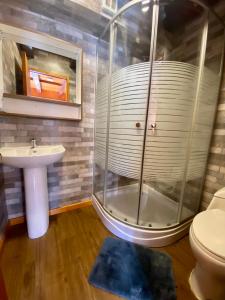 a bathroom with a shower and a sink at Hostal Caulle in Río Bueno