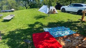Zahrada ubytování Cumpana Camping