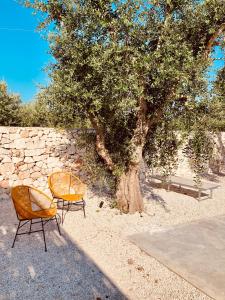 two chairs and a tree next to a stone wall at Villa Pupetta Ostuni 4 bedrooms 4 bathrooms - swimming pool in Ostuni