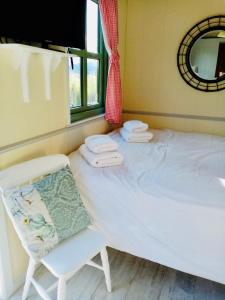 1 dormitorio con cama, silla y espejo en Mountain View Shepherds Hut en Kilkeel