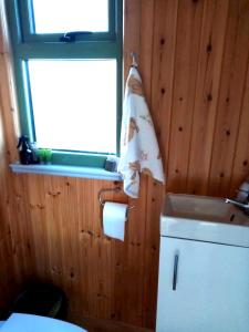 baño con lavabo y ventana en Mountain View Shepherds Hut en Kilkeel