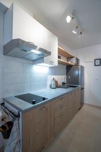 a kitchen with a sink and a counter top at VINCENT Studio Apartment in Rijeka