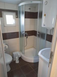 ein Bad mit einer Dusche, einem WC und einem Waschbecken in der Unterkunft Vila Veronika ul Dame Gruev 207 Ohrid in Ohrid